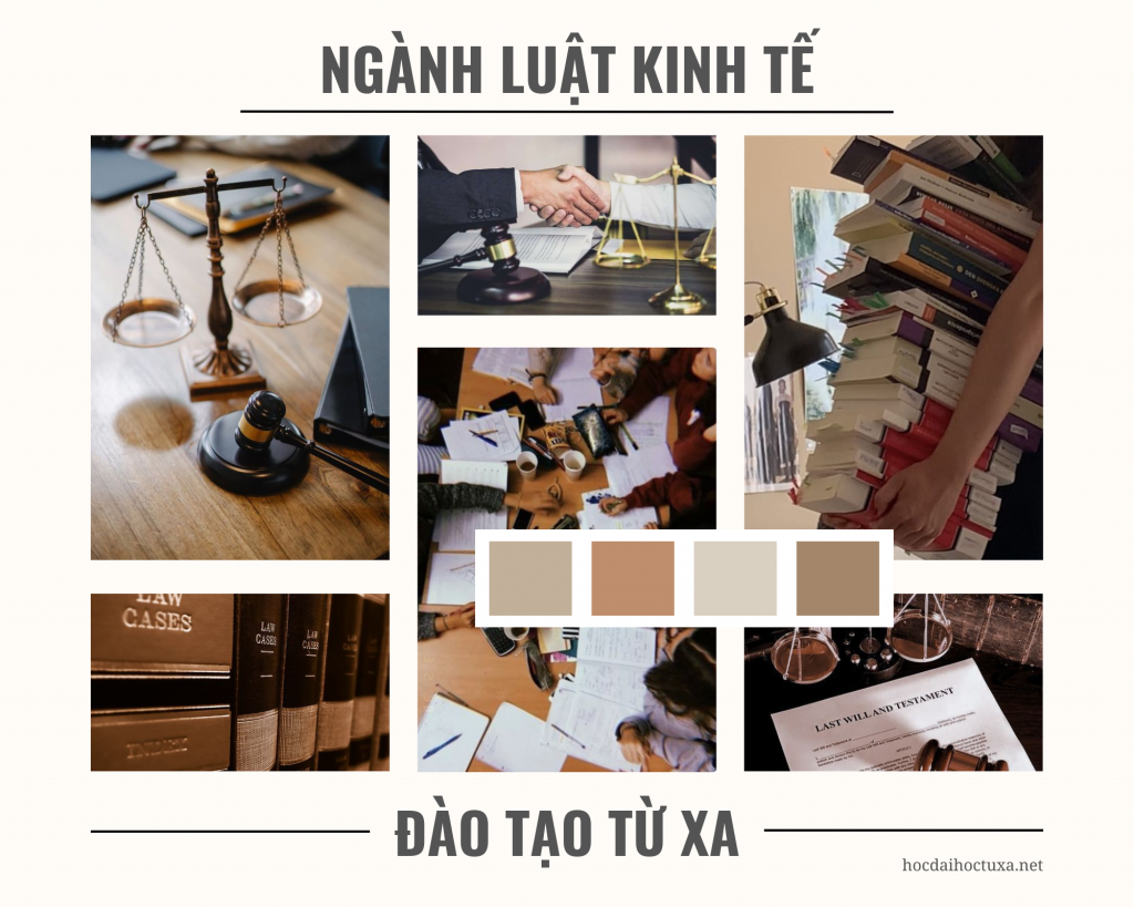 Học từ xa ngành Luật kinh tế